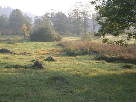 faluturizmus, programok, erdély